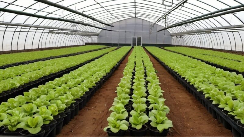 الزراعة بالأنظمة المغلقة: مستقبل الزراعة المستدامة والفعالة