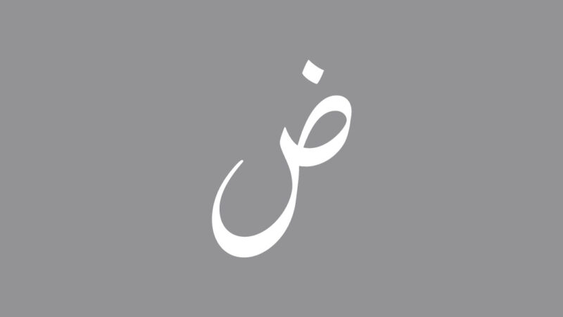 تنوع اللهجات العربية: رحلة في ثراء اللغة والثقافة