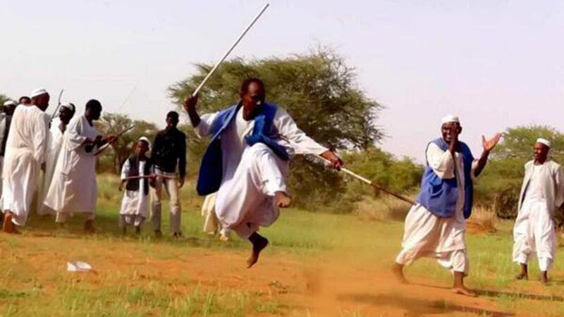 رقصة الصقرية: تعبير فني عن الفخر والشجاعة في التراث الشعبي السوداني