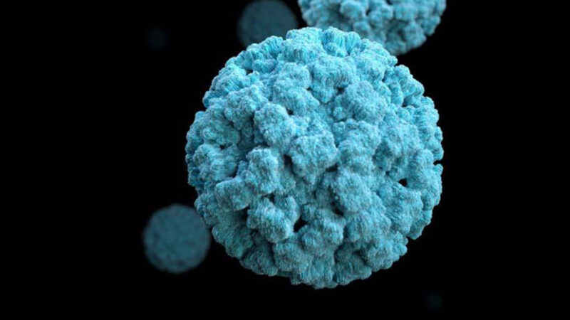 فيروس النورو (Norovirus)