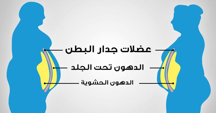 طرق فعالة للتخلص من الدهون الحشوية