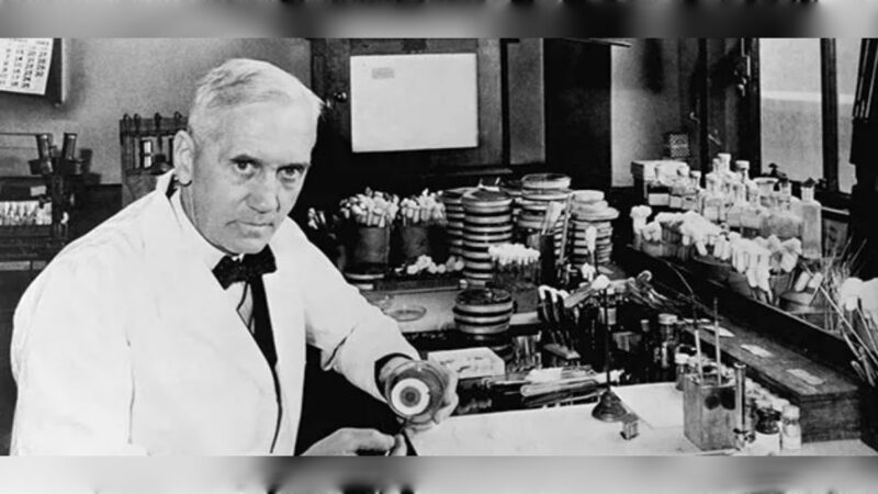 ألكسندر فيلمنج – مكتشف البنسلين وأبو عصر المضادات الحيوية